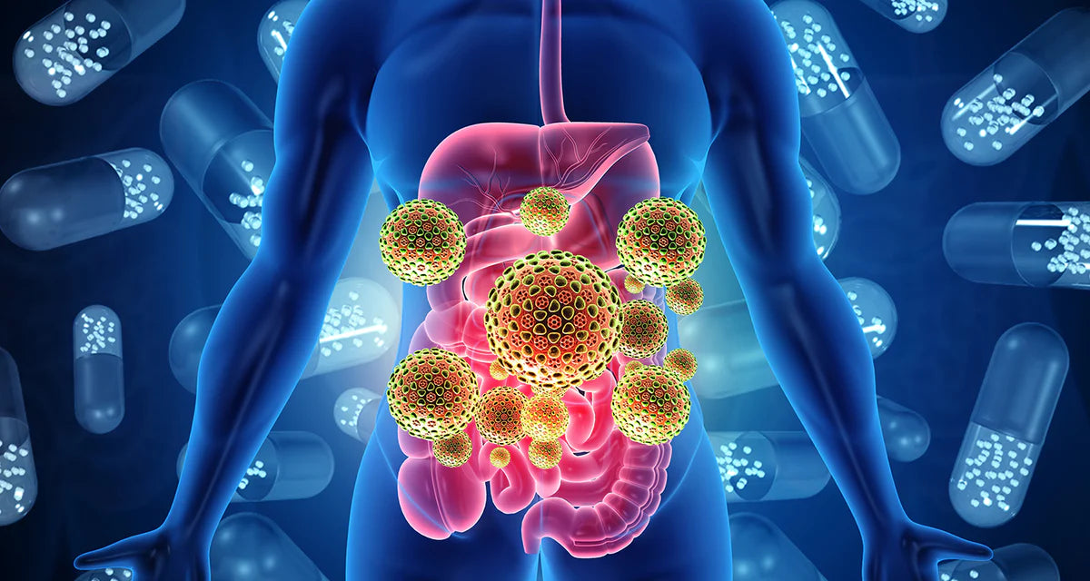 The Best and Worst Foods for Gut Health