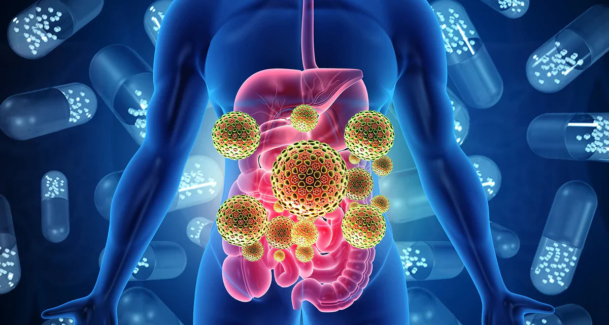 The Best and Worst Foods for Gut Health
